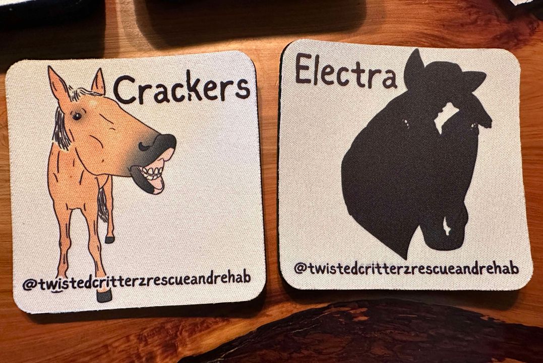 4 Random Coasters