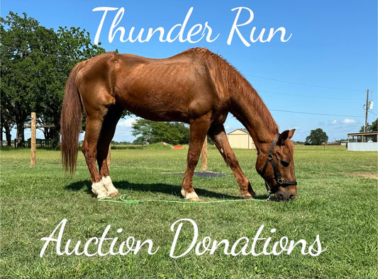 Thunder run auction donations